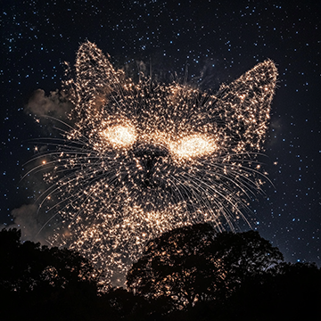 Cat Fireworks - AI image created with Midjourney